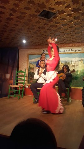 558 granada flamenco show